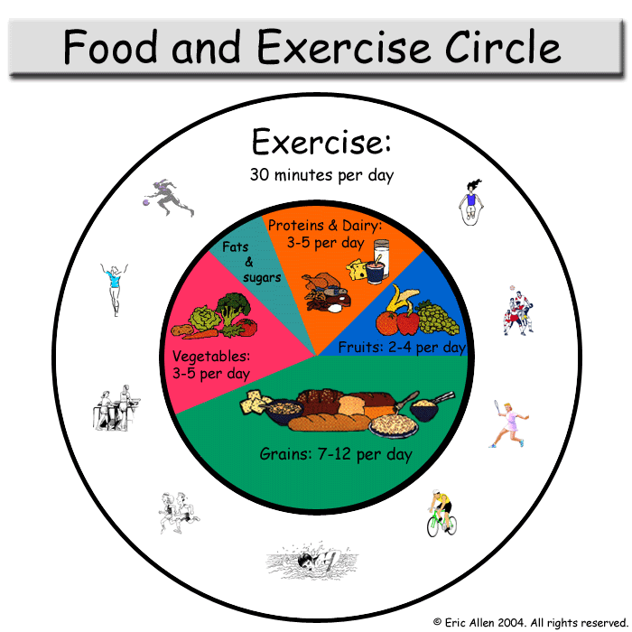 Diet Circle