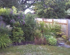 08-08-02-FrontYardII