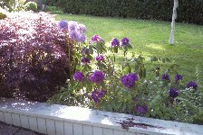 09-06-01-FrontDetail